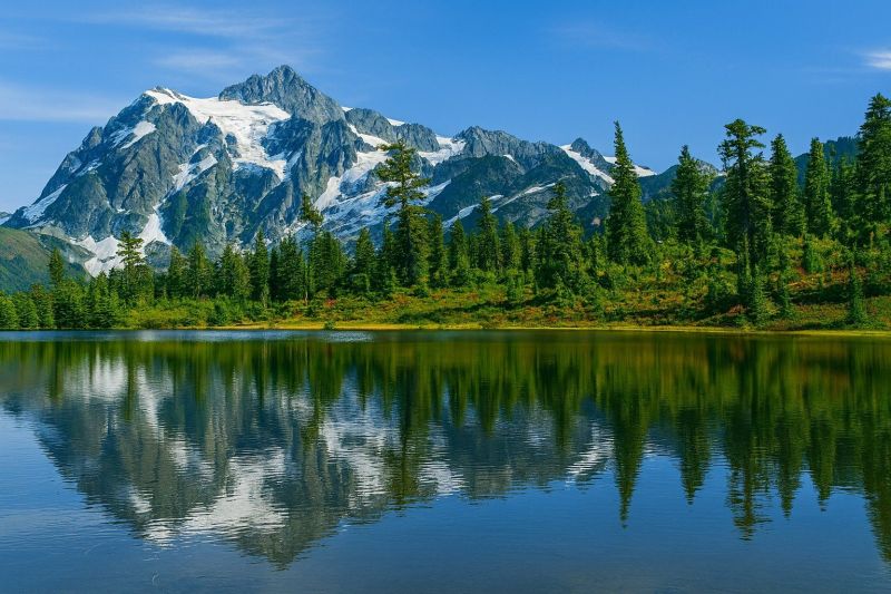 Best Shower Remodeling pros in Maple Valley, WA