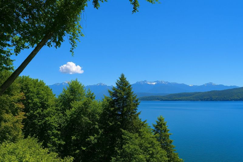 Best Shower Remodeling pros in Vashon, WA