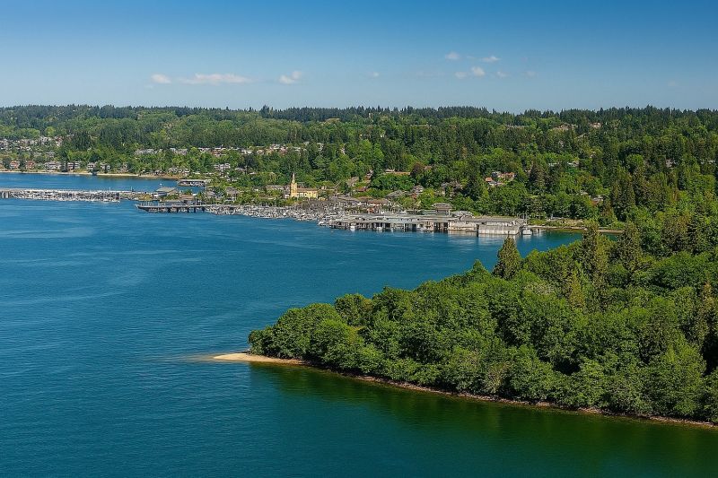 Best Tub To Shower Conversion pros in Port Orchard, WA